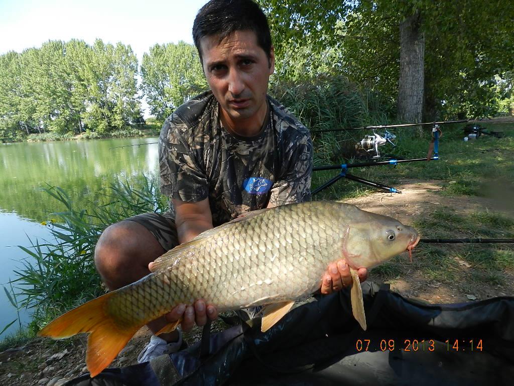 7-8  septembrie20013 - dscn1709.JPG